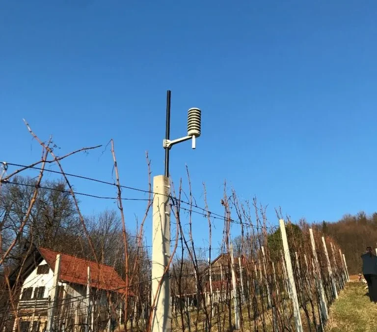 Smart Vineyard